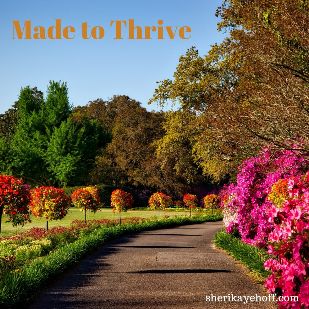 Made to Thrive